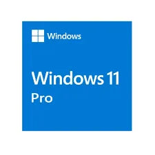 Windows 11 Pro (Serial) - Anigma